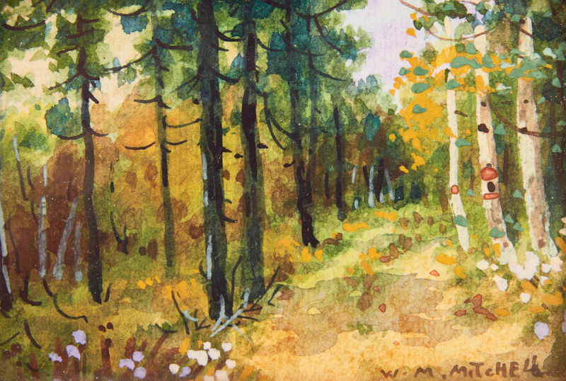 Willard Morse Mitchell, In the Pine Trees Near the Seigniory Club, watercolour