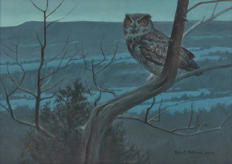 Robert Bateman, Great-Horned Owl from Rattlesnake Point, acrylic on board
