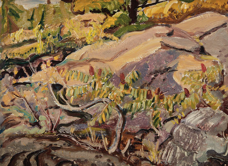 Arthur Lismer, Sumach and Sun Glow, Georgian Bay, oil on board