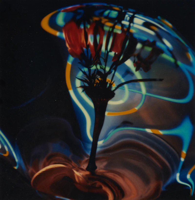 Don Jean-Louis, Neon Vertigo, polaroid enlargement digital image