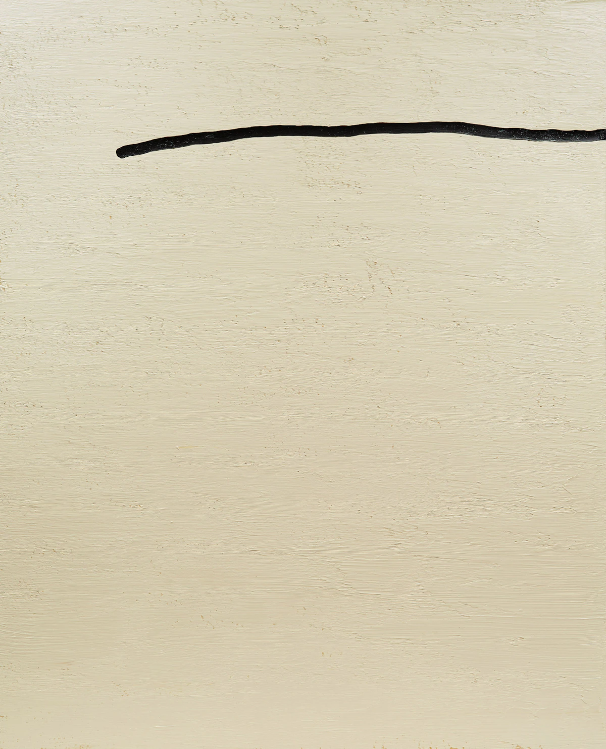 Chuck Sands, Slug, acrylic and oil on canvas, 1996