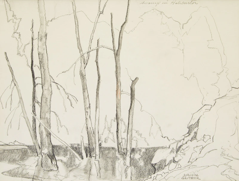 Joachim George Gauthier, Swamp in Haliburton, pencil drawing