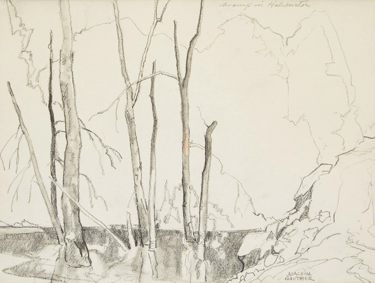 Joachim George Gauthier, Swamp in Haliburton, pencil drawing