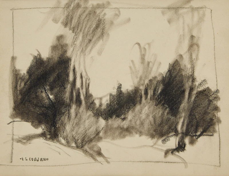 Frederick Simpson Coburn, Clearing in the Woods, charcoal on paper