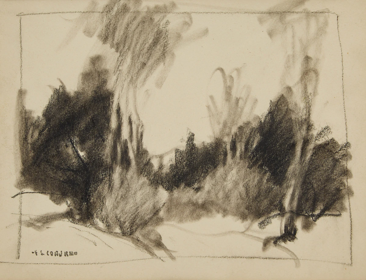 Frederick Simpson Coburn, Clearing in the Woods, charcoal on paper