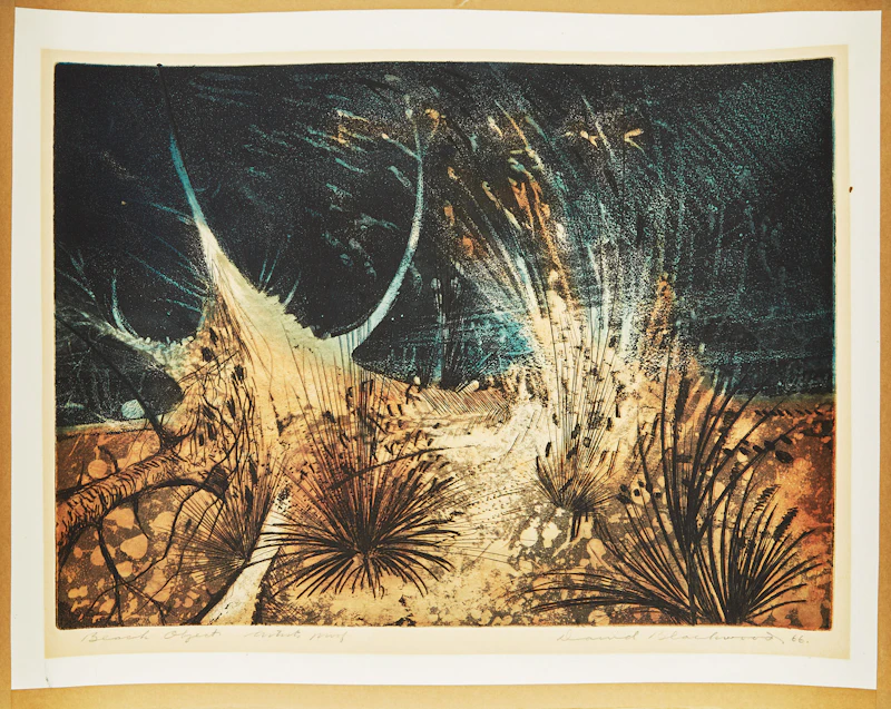 David Lloyd Blackwood, Beach Object, etching and aquatint in colours, 1966 - view 2