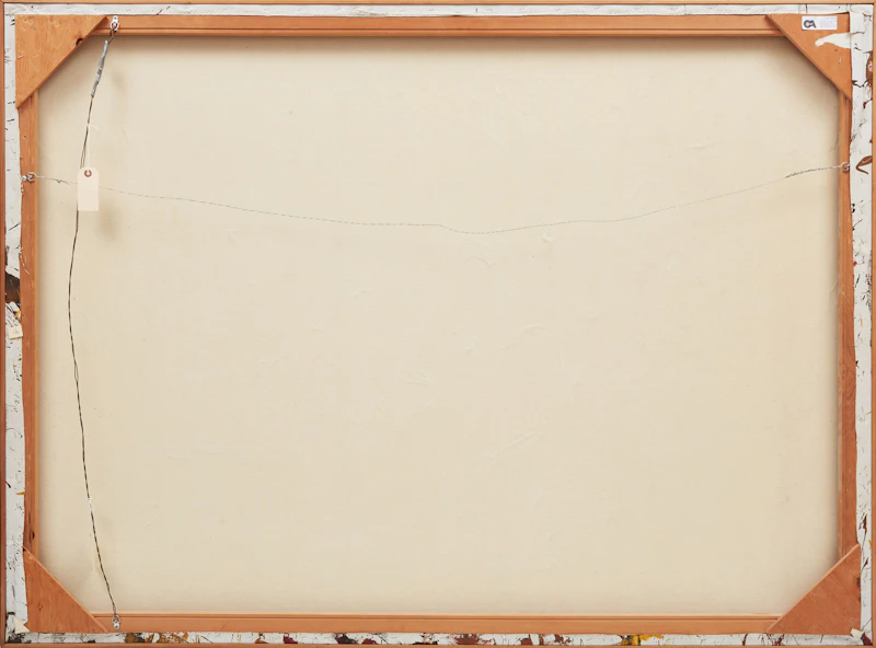 Jack Leonard Shadbolt, Of Birds and Bush #2, acrylic on canvas, 1980 - view 3