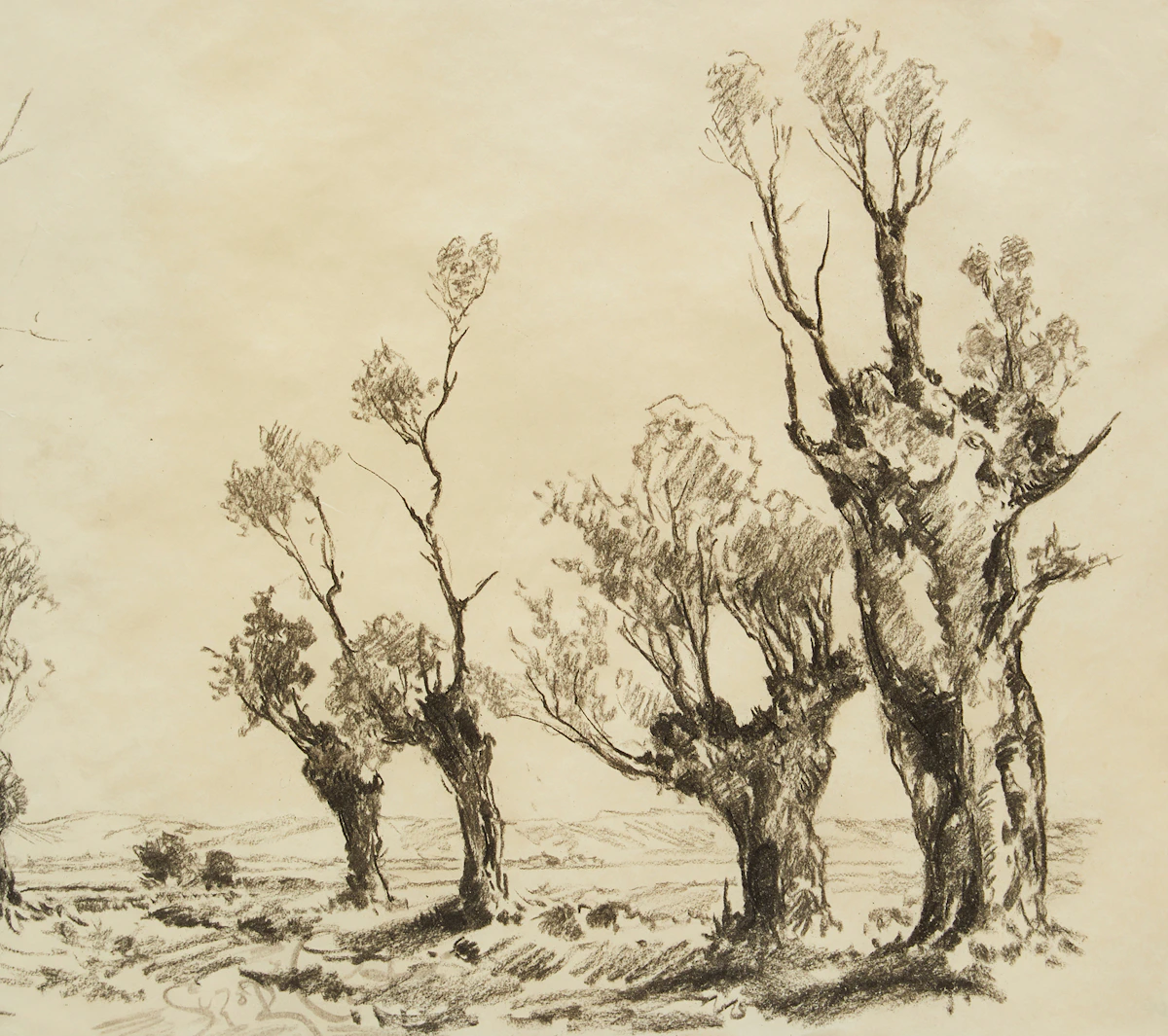 Marc-Aurèle de Foy Suzor-Coté, Landscape with Trees , pencil