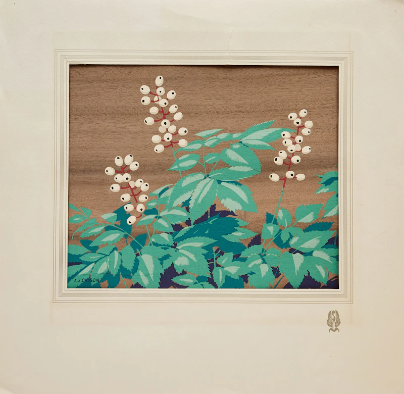 Alfred Joseph Casson, White Baneberry, silkscreen - view 4