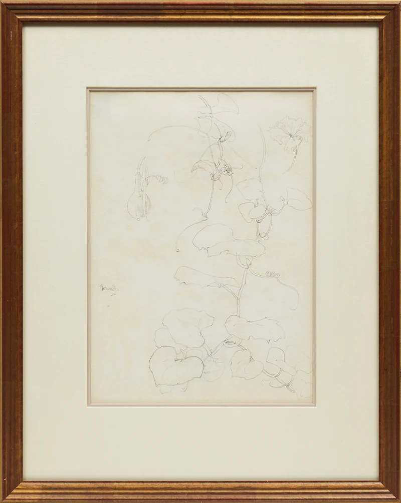 Arthur Lismer, Gourd , pencil - view 2