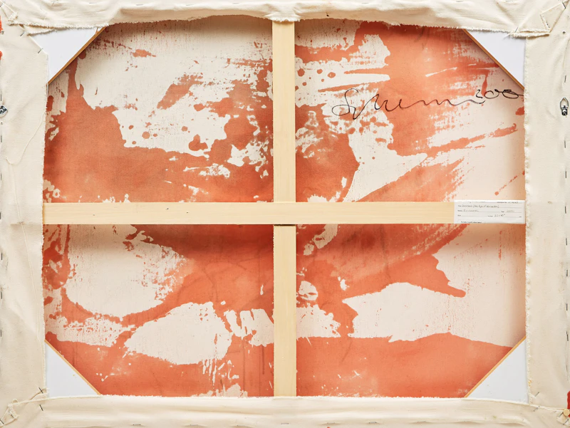 Tony Scherman, White Dust (Eye of Bin Laden), oil and encaustic on canvas, 2001 - view 2