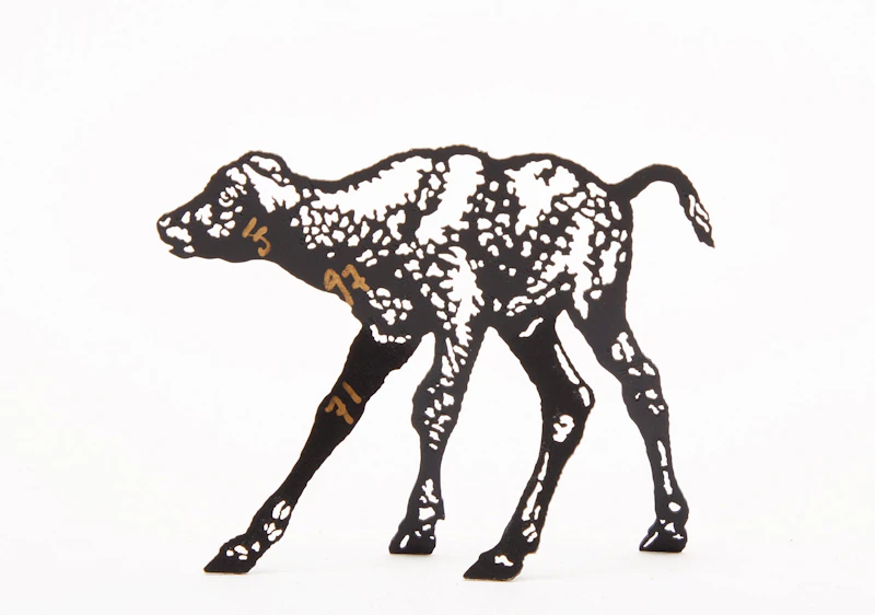 Joe Fafard, Calf, lasercut steel, 1997 - view 3
