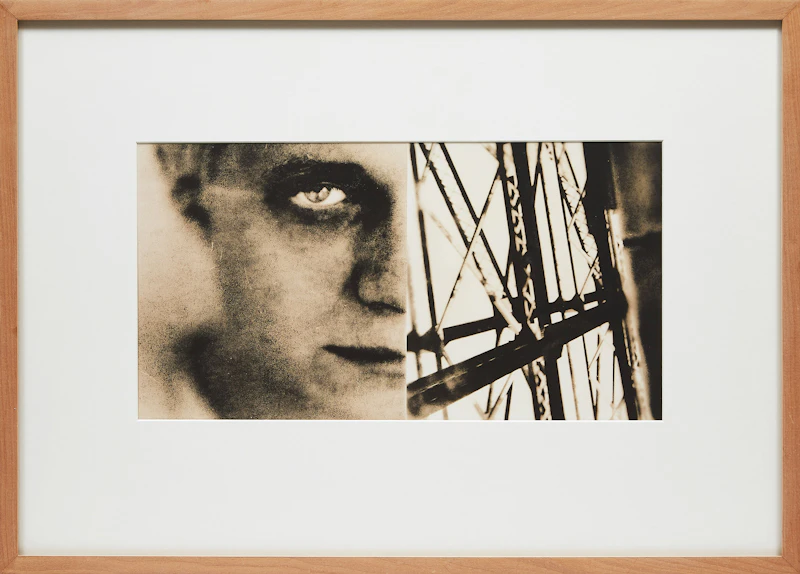 Jana Leon, Erik, Bridge, toned silver print - view 2