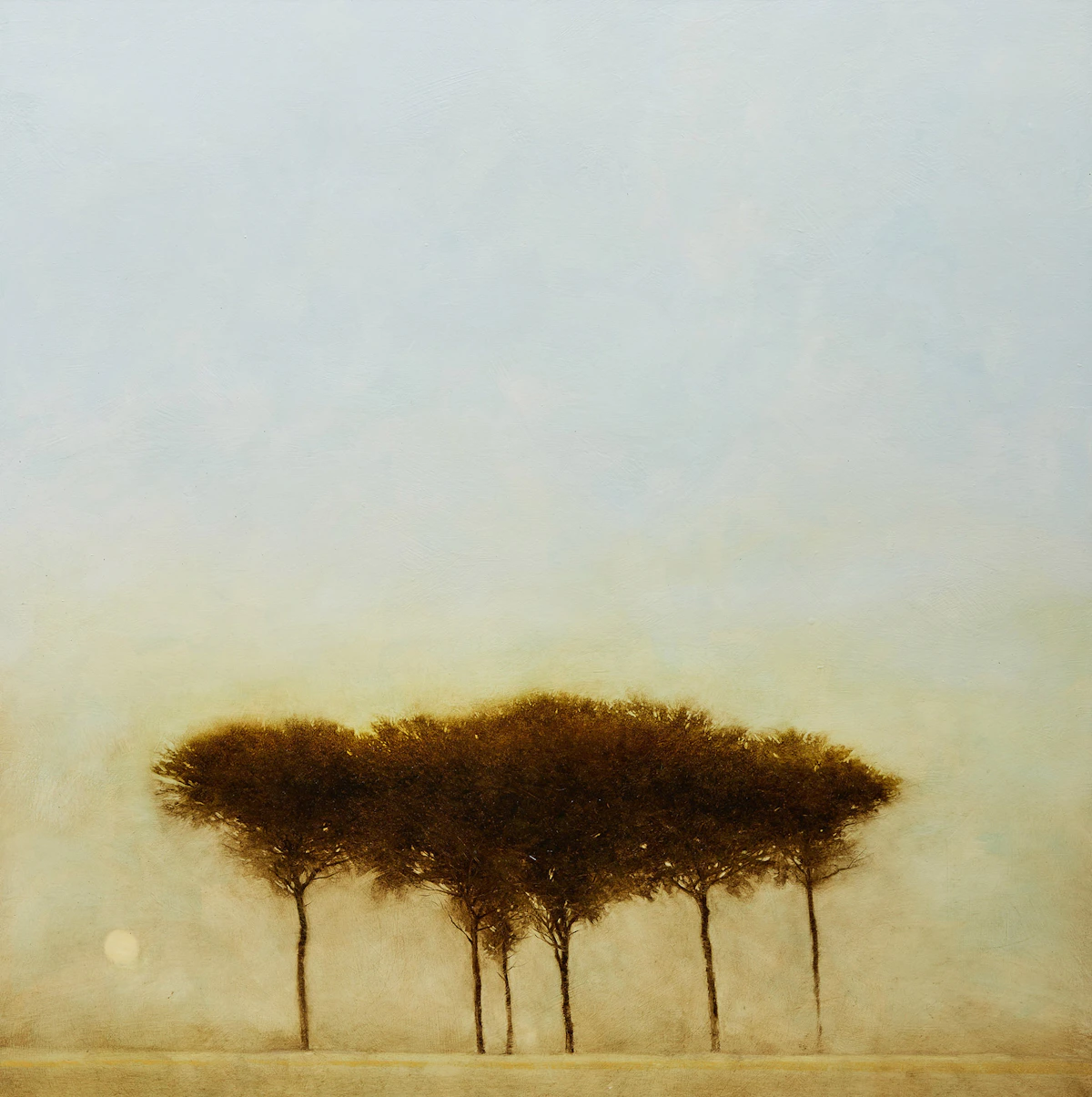 Robert Marchessault, Sahal, oil on board, 2007