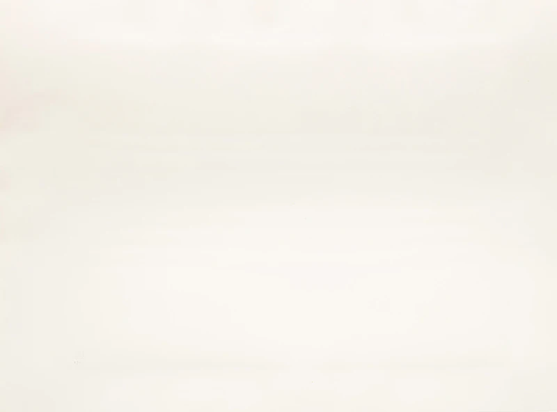 William Perehudoff, La Plonge #11, colour lithograph - view 3