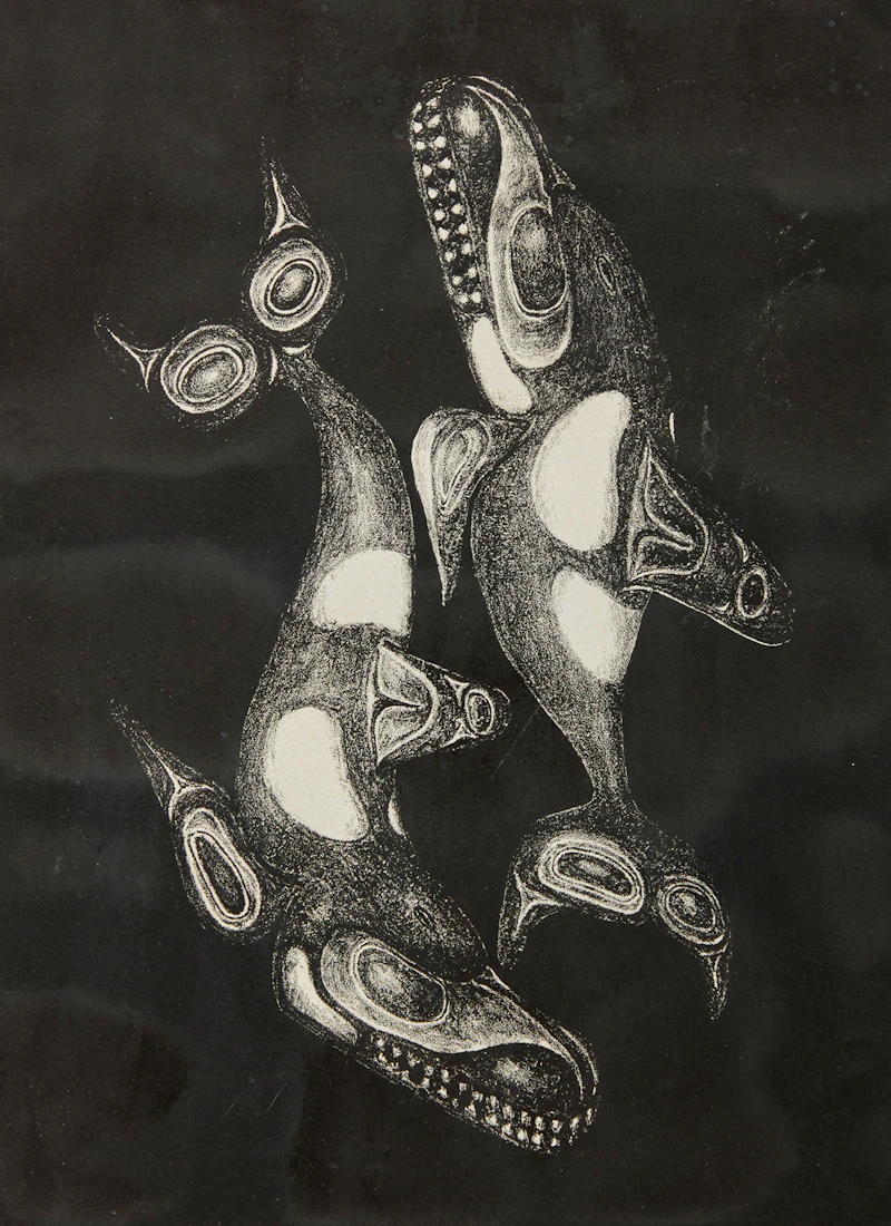 Haida Killer Whale  by Bill Ronald Reid