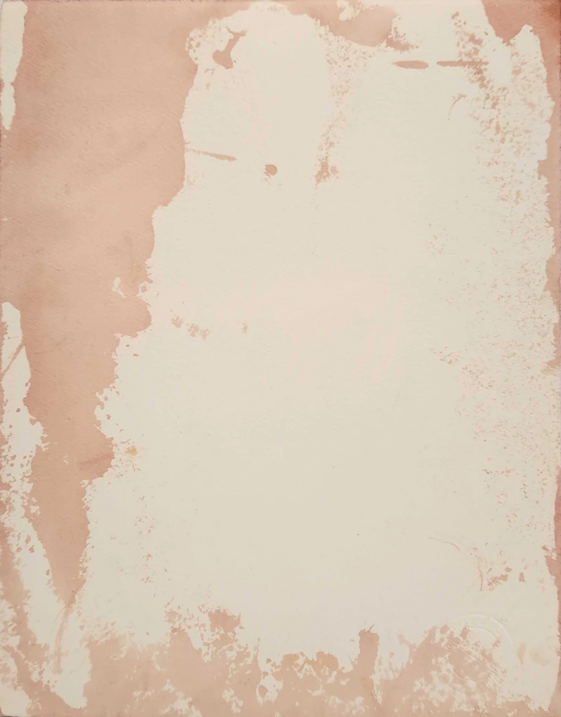 Carl Beam, The Winds of Our Being; Dakota Sioux Ghost Dance Shirt, two mixed media on paper - view 2
