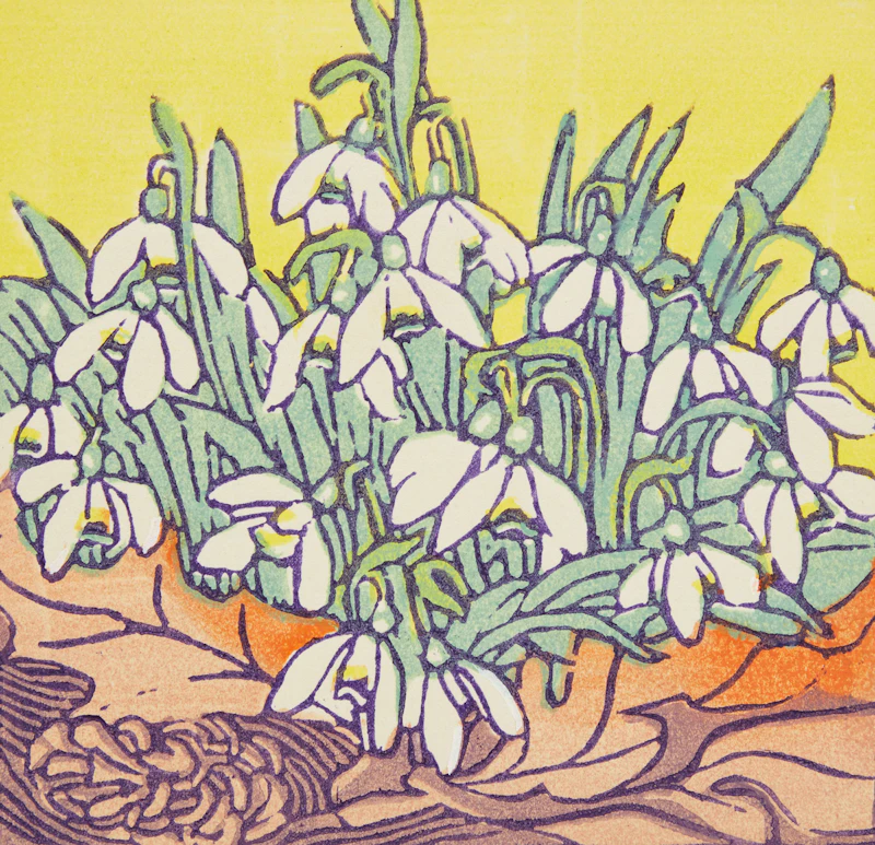 Mary Evelyn Wrinch, Roses and Petunias; Water Lilies; Snowdrops, three woodcuts in colours - view 7