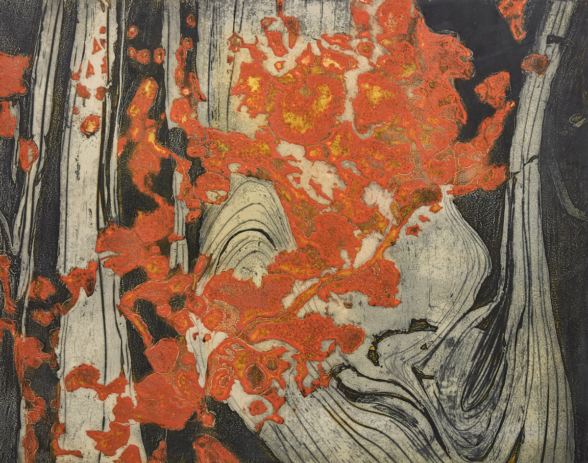 Edward John Bartram, Lichen Channel Rock (Canadian Shield Series), colour etching