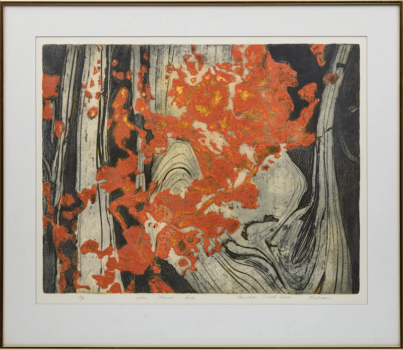 Edward John Bartram, Lichen Channel Rock (Canadian Shield Series), colour etching - view 2