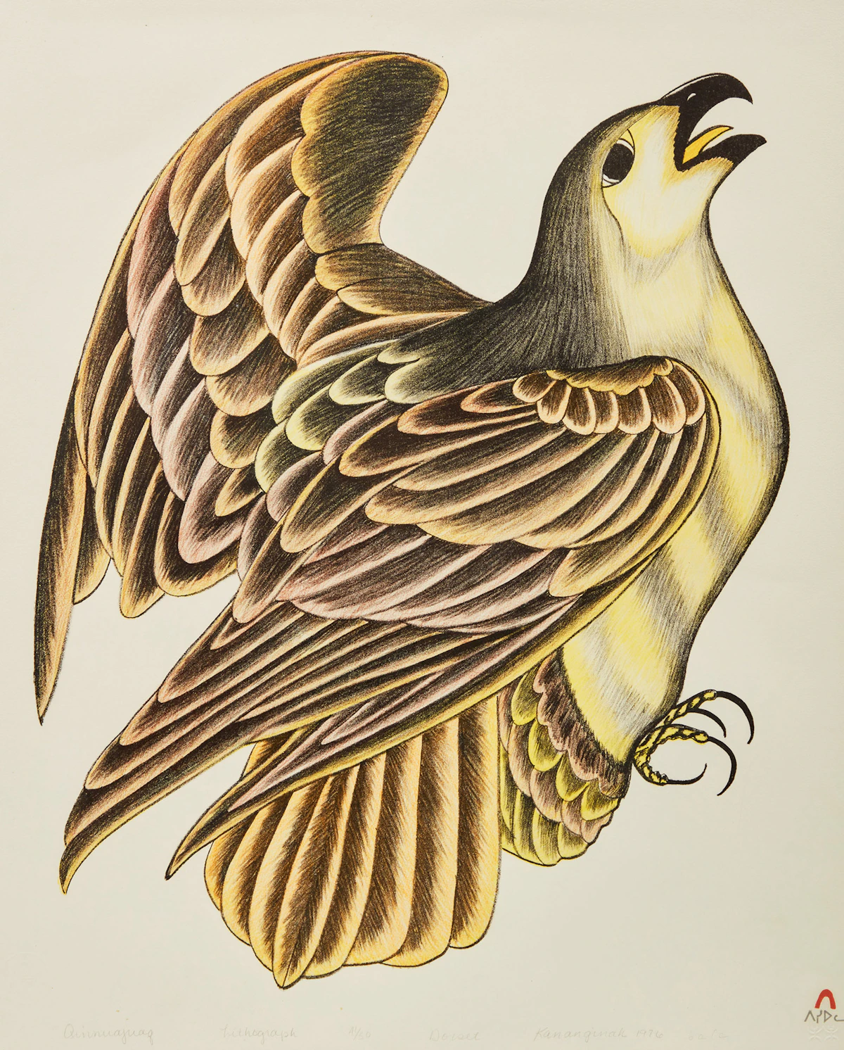 Kananginak Pootoogook, Qinnuajuaq, lithograph, 1976