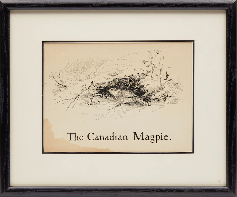 Frederick Simpson Coburn, The Canadian Magpie, ink drawing - view 2