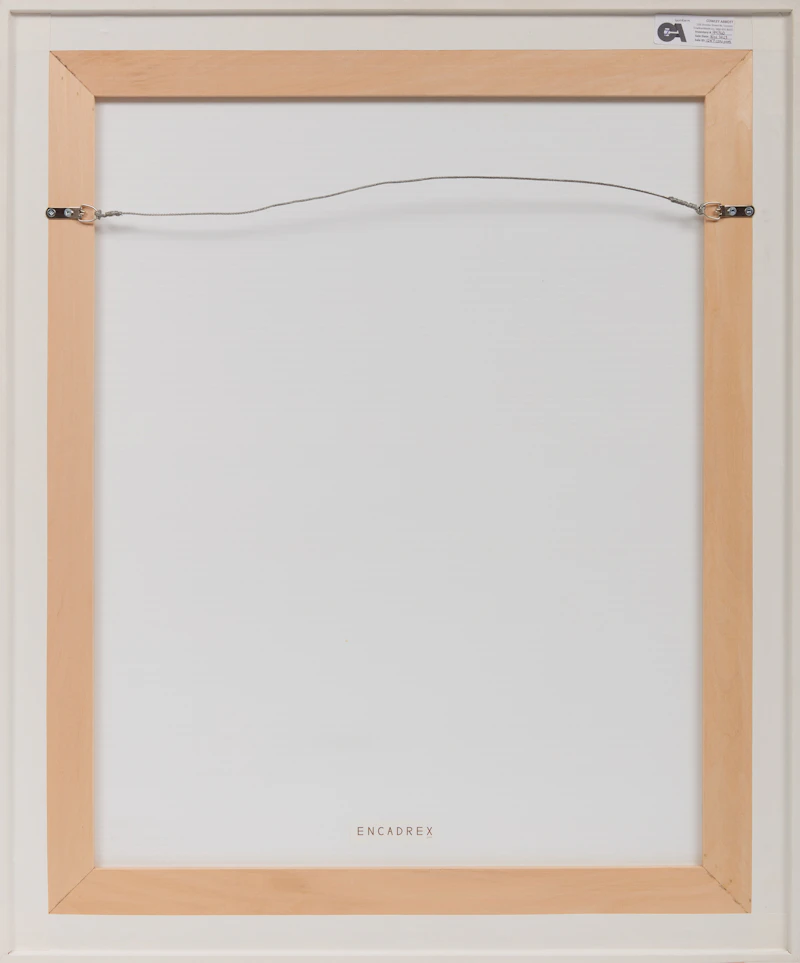 Betty Roodish Goodwin, Vest Two, etching, 1971 - view 3