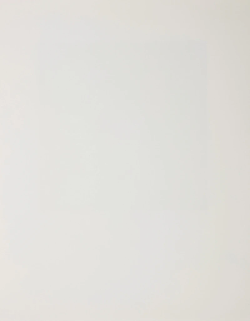 Christopher Pratt, Woman at Dresser; The Institution, two colour photolithographs - view 6