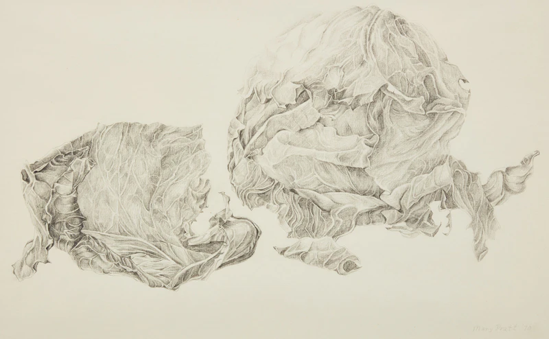 Mary Pratt, Cabbage with Options, 1970, pencil