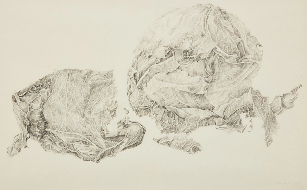 Mary Pratt, Cabbage with Options, 1970, pencil