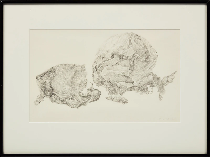 Mary Pratt, Cabbage with Options, 1970, pencil - view 2