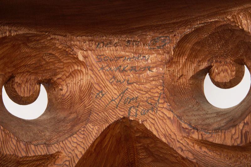 Tom Hunt, Southern Kwakiuth Owl Mask, painted wood with raffia, 1993 - view 3