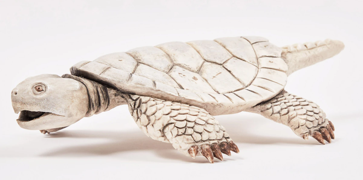 Vince Bomberry, Turtle, antler