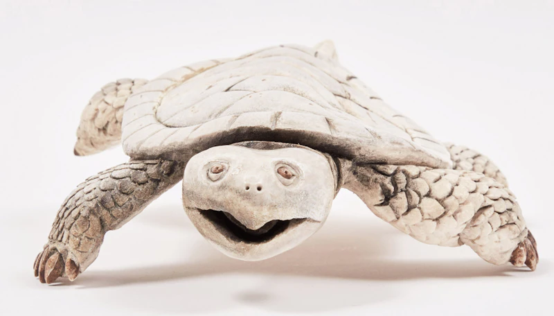 Vince Bomberry, Turtle, antler - view 2