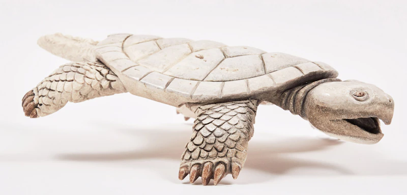 Vince Bomberry, Turtle, antler - view 3