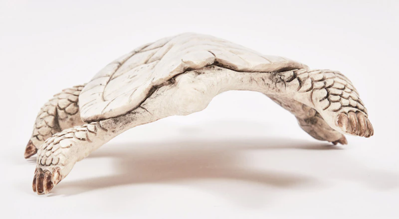 Vince Bomberry, Turtle, antler - view 4