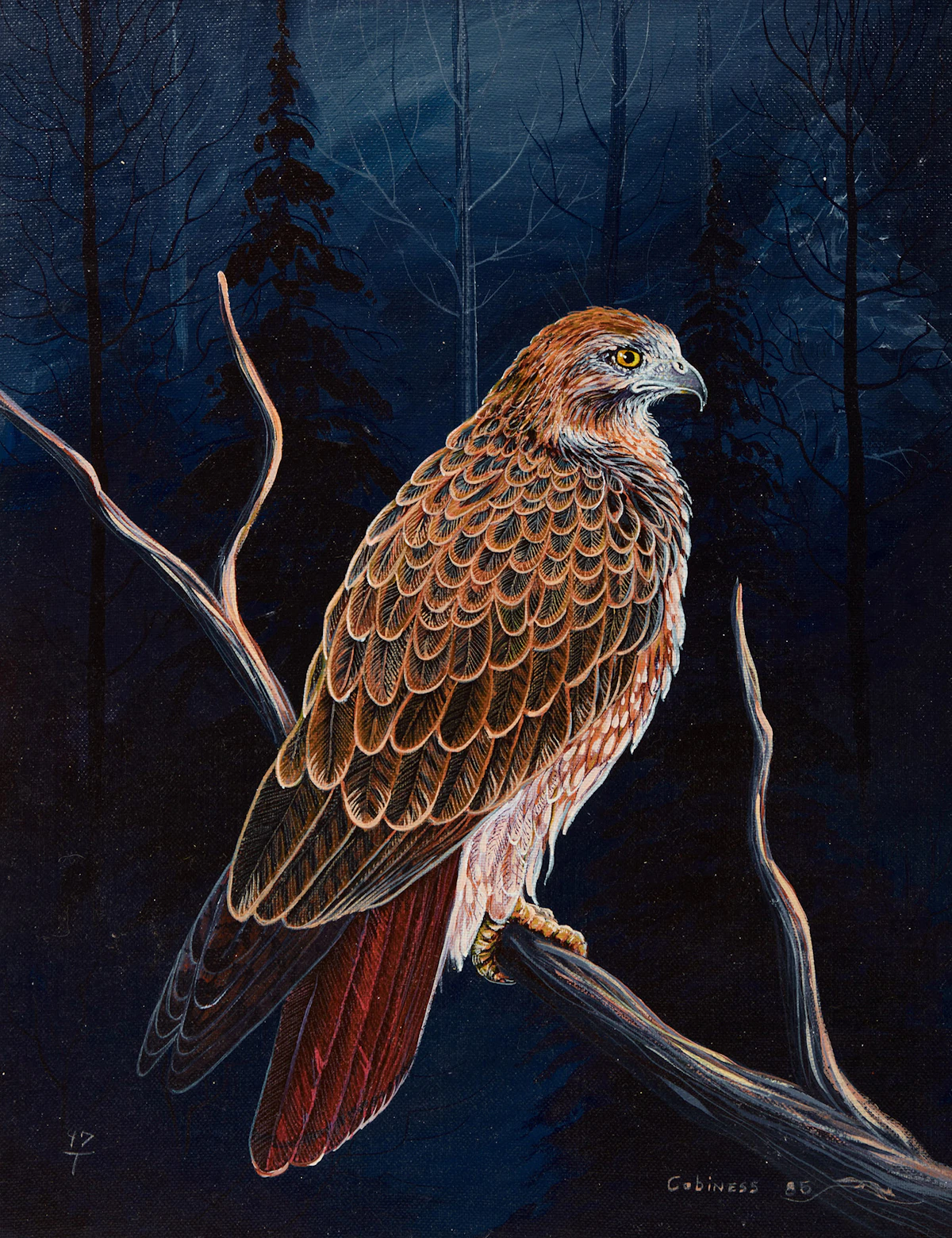 Eddy Cobiness, Hawk , oil on board