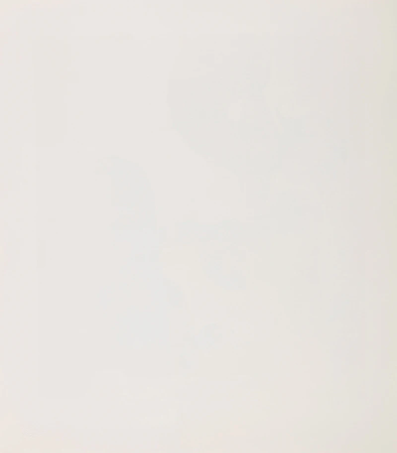 Daphne Odjig, The Old Swimming Hole; Little Mothers , two colour serigraphs, 1981 - view 3