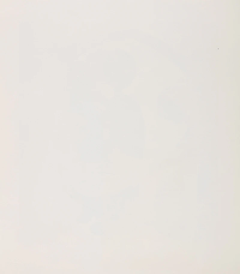 Daphne Odjig, The Old Swimming Hole; Little Mothers , two colour serigraphs, 1981 - view 6