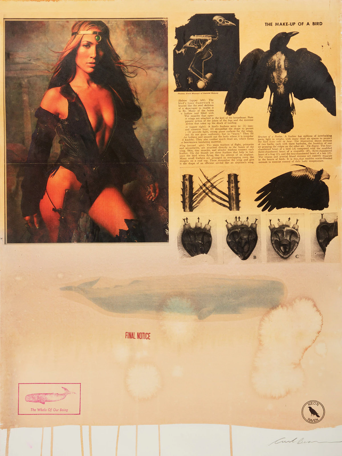 Carl Beam, Final Notice, mixed media