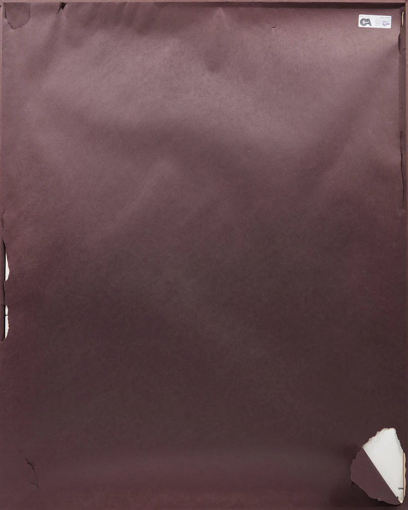 Carl Beam, Final Notice, mixed media - view 3