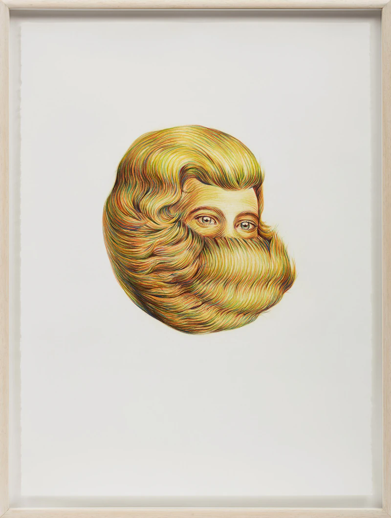 Winnie Truong, Untitled, 2010, coloured pencil on paper, circa 2010 - view 2