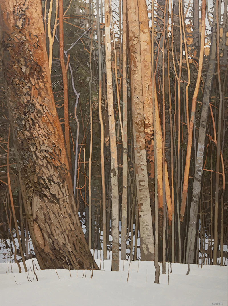 Peter Rotter, Forest in Winter, oil on canvas