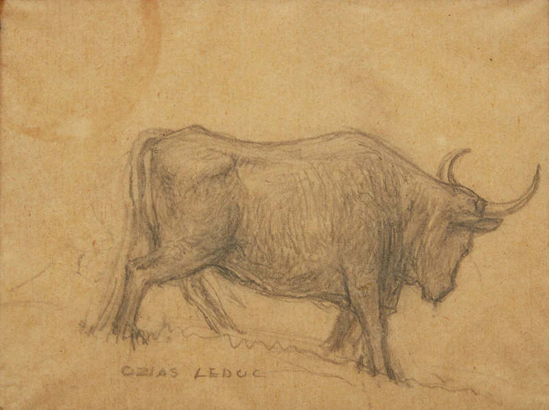 Ozias Leduc, Paysage; Taureau, two pencil drawings - view 4