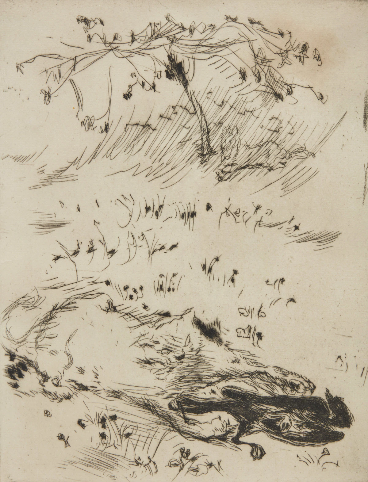 Pierre Bonnard, Cat and Bird, etching