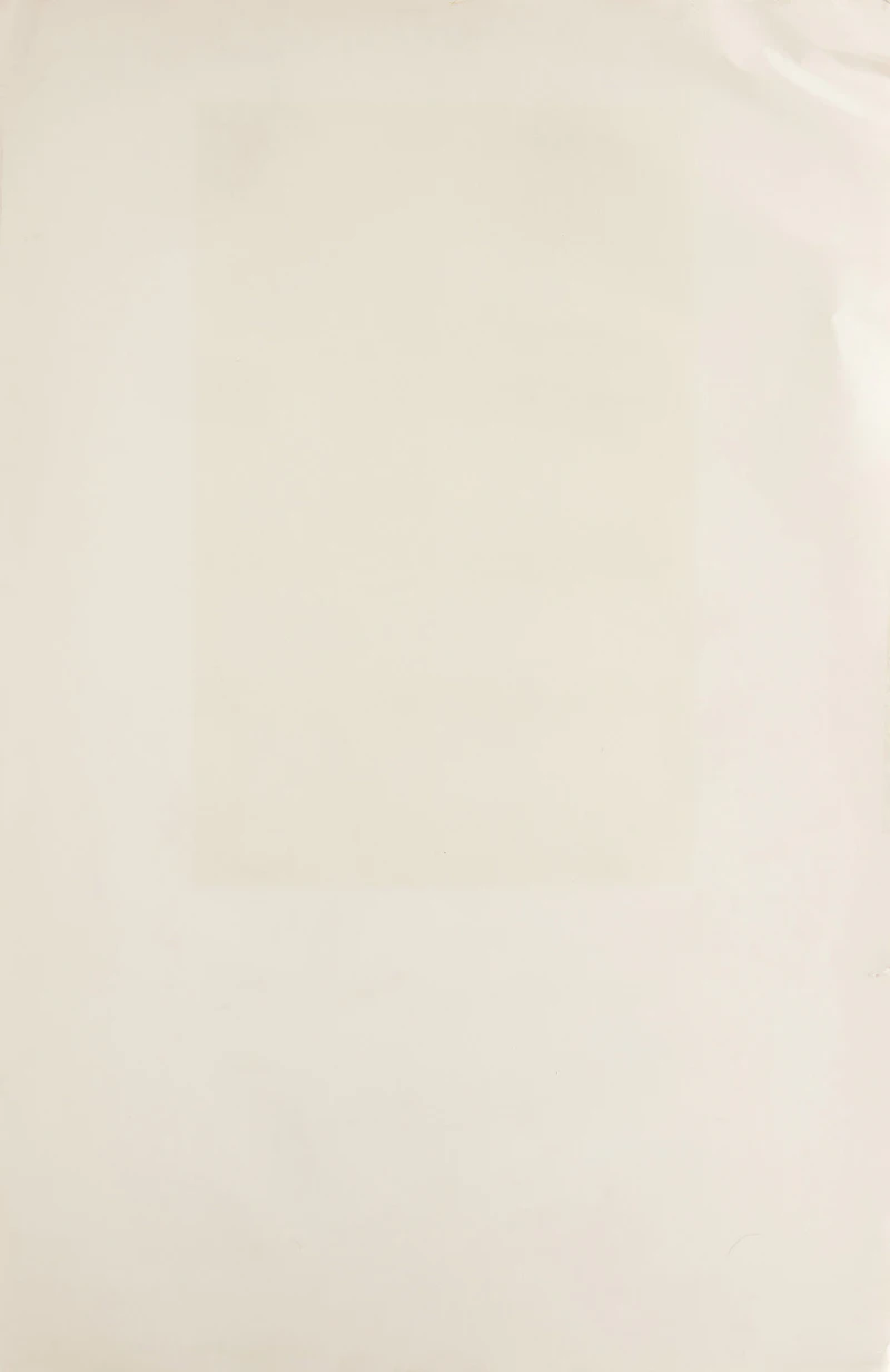 Robert Longo, Arena Brains, colour lithograph, 1986 - view 3