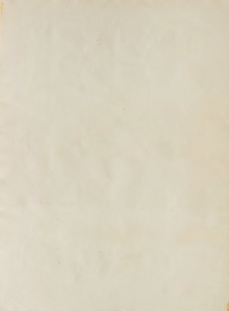 Barton Lidice Benes, Rosy Cheeks, ink on paper, 1973 - view 3