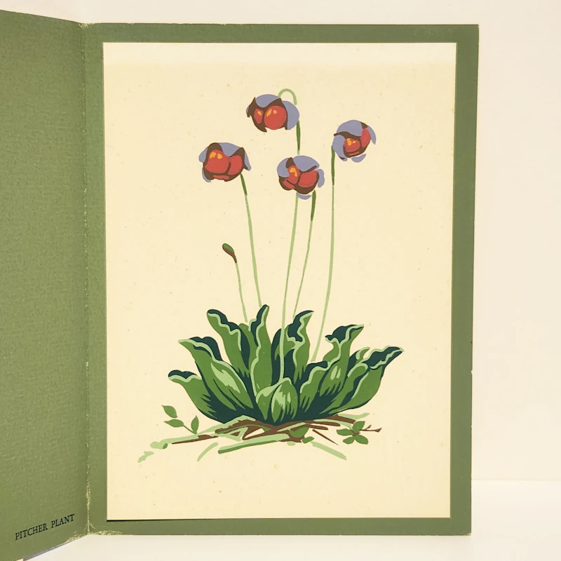 Four Christmas Cards by Alfred Joseph Casson