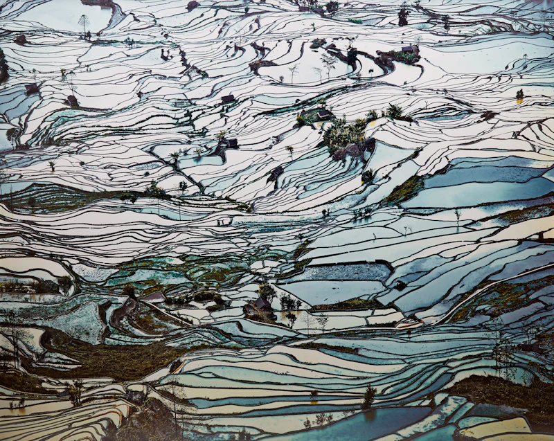 Rice Terraces, (Laohuzui II), Yunnan, China by David Burdeny