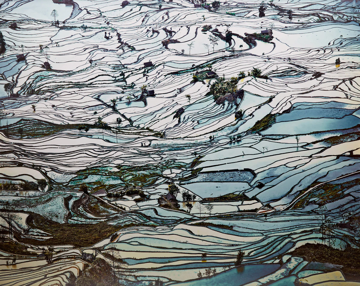 David Burdeny, Rice Terraces, (Laohuzui II), Yunnan, China, archival pigment print, 2013